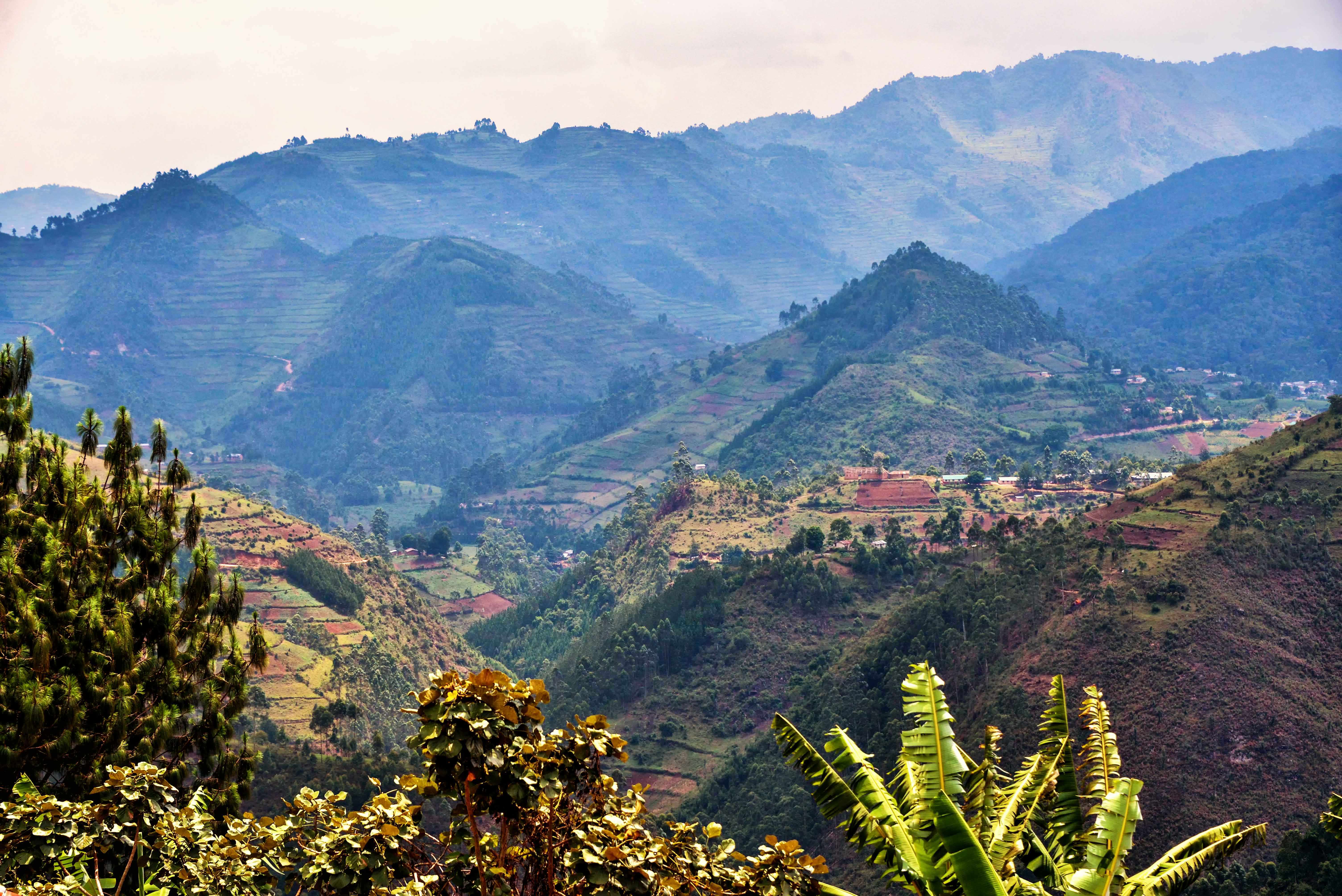 An archive rural landscape in Uganda.