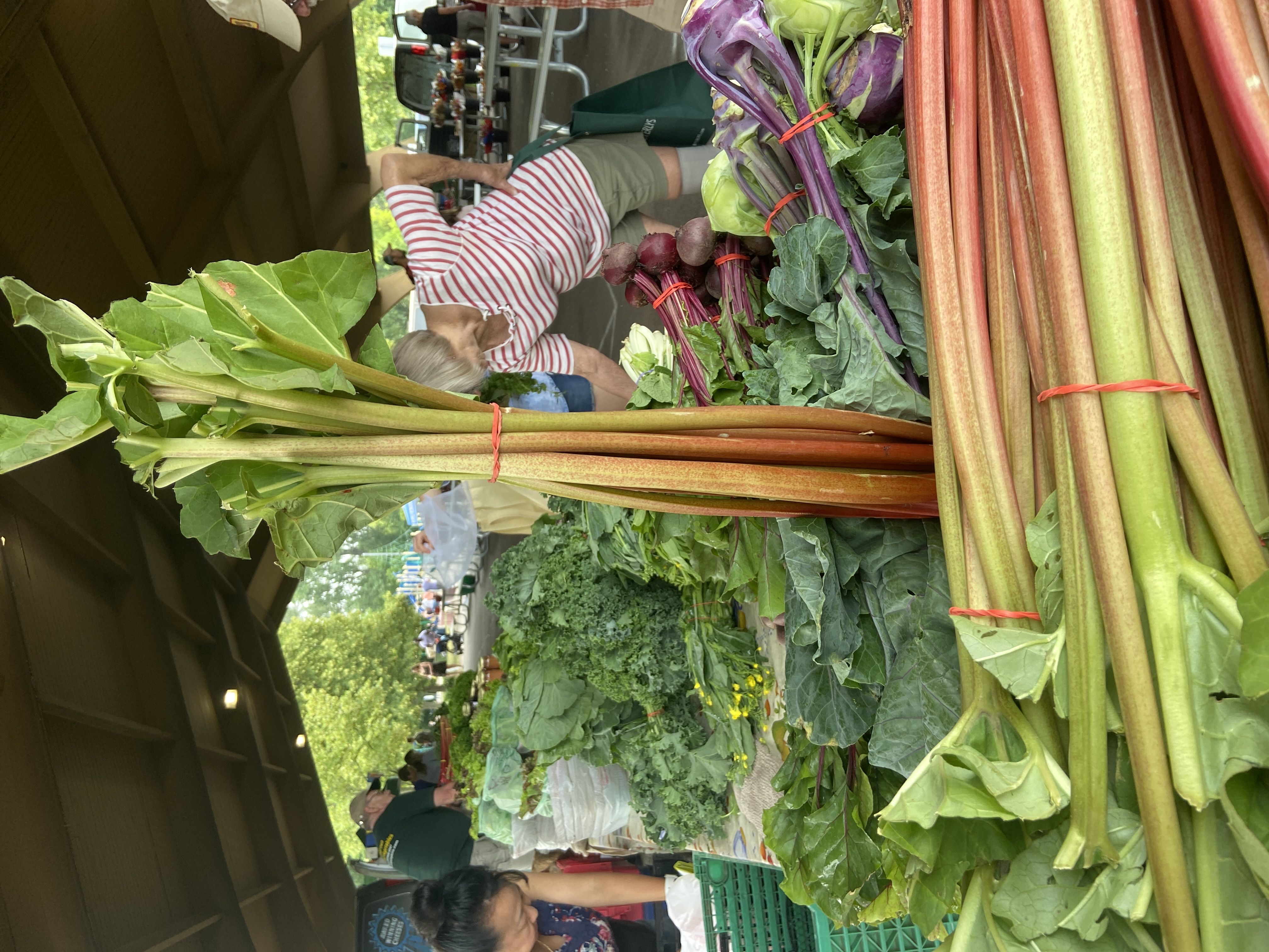 Rhubarb and leafy produce on a farmers’ market stall.