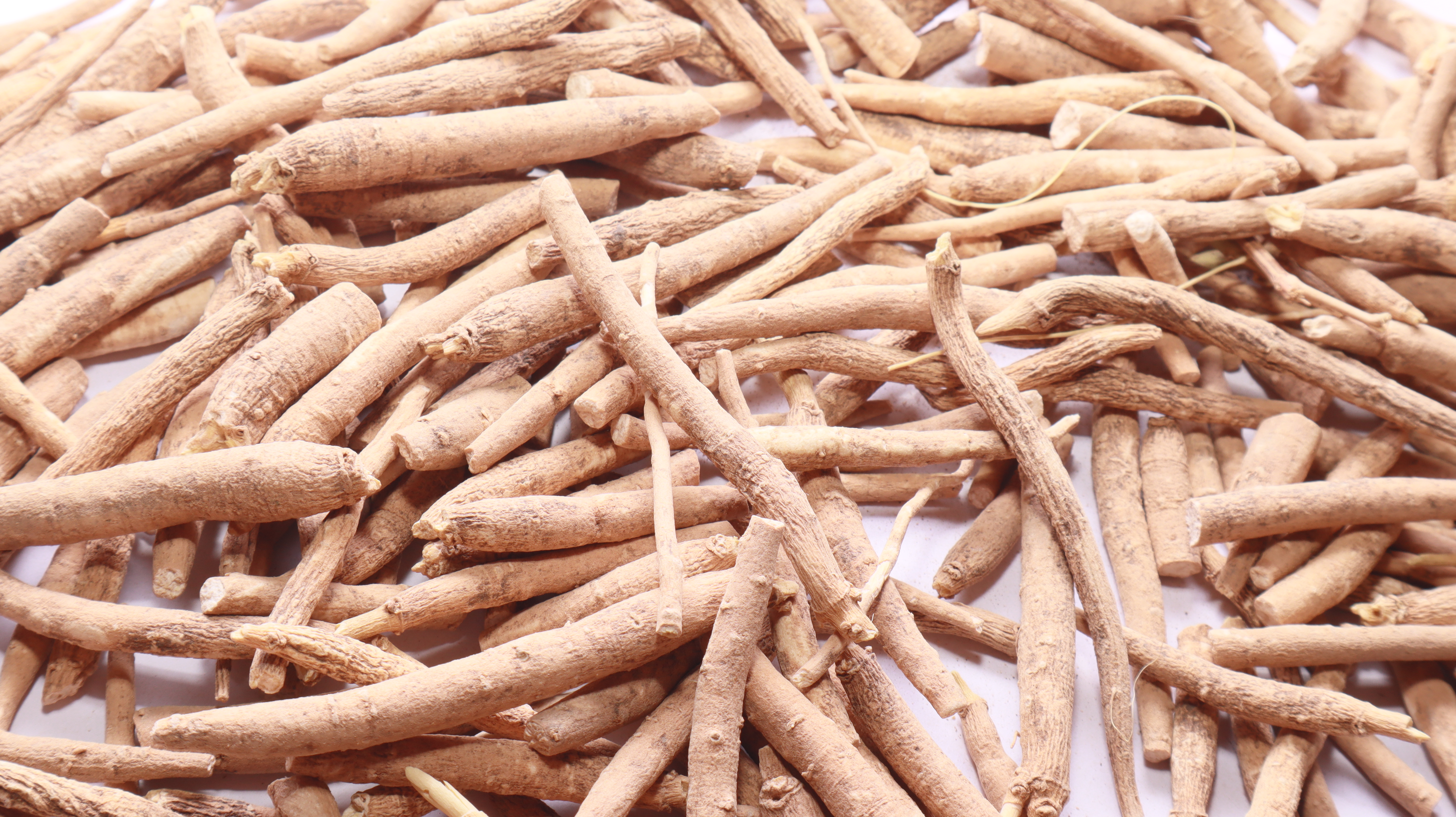 Dried ashwagandha roots spread across a light surface.