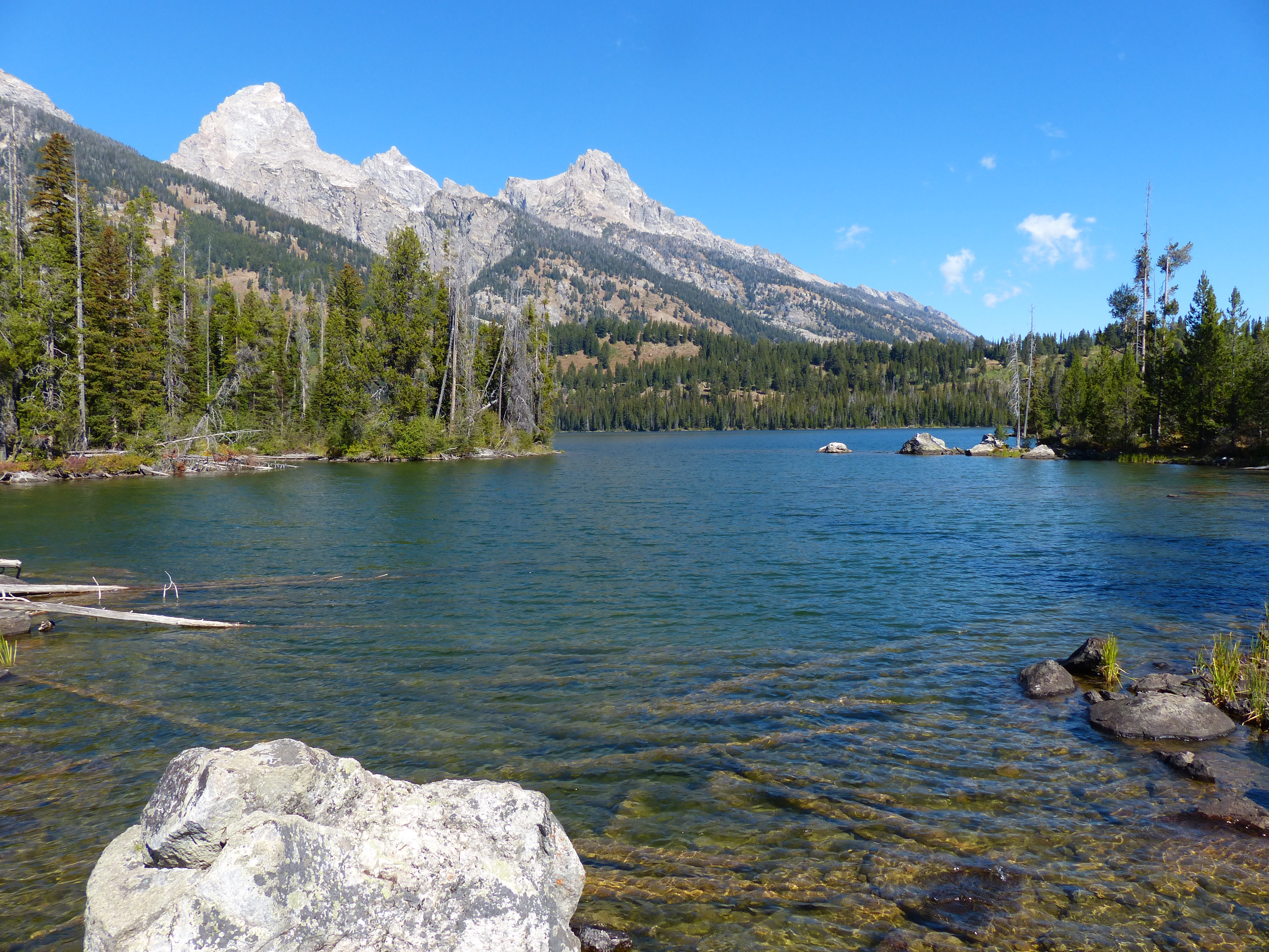 Taggart Lake beneath the Teton mountains, with forest along the shore.