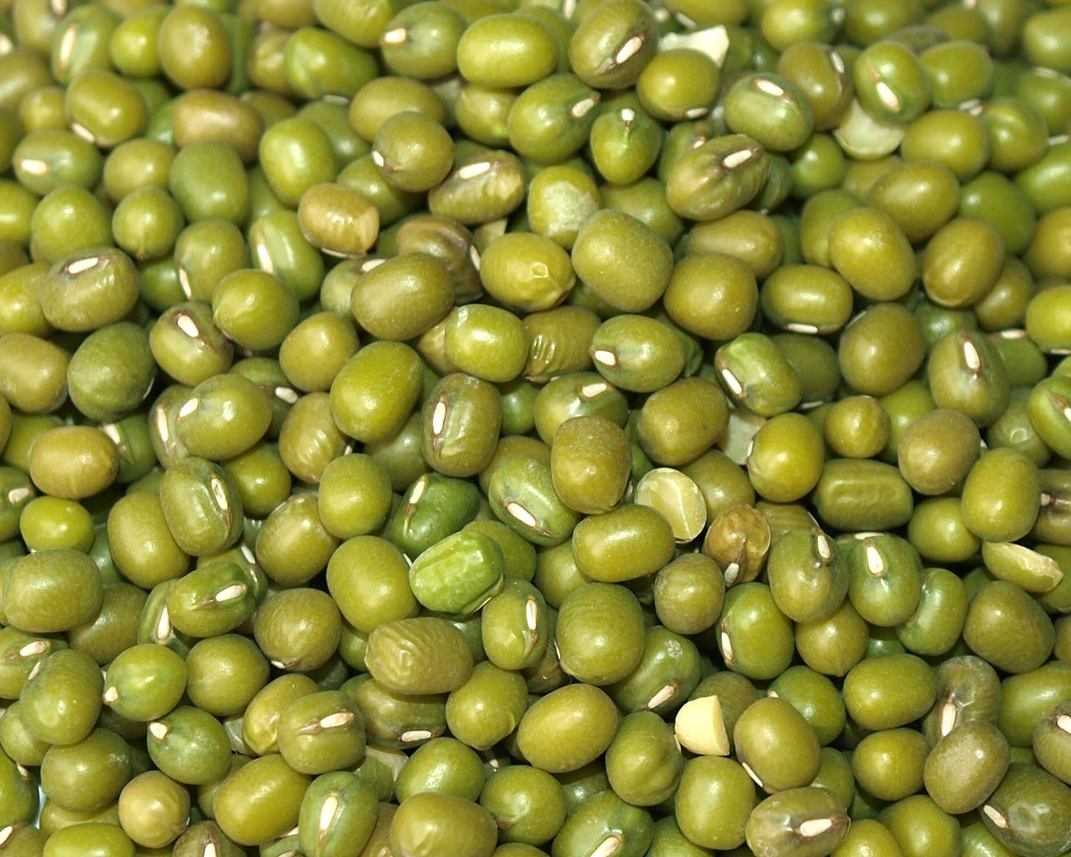 A close view of loose green raw mung beans.