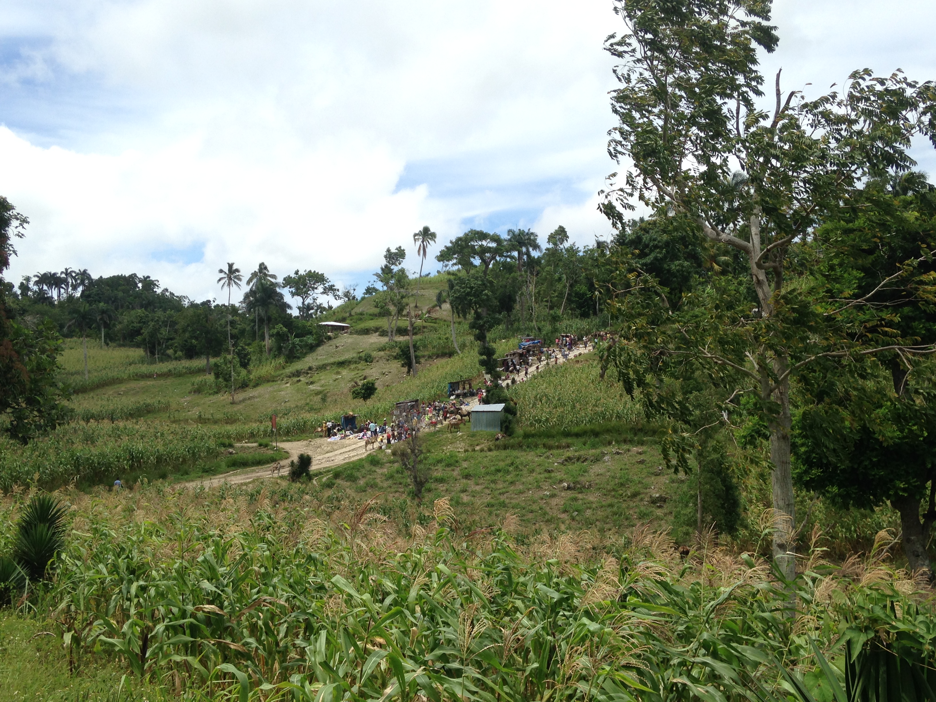 People gather along a rural market road among green fields and trees in Delatte.